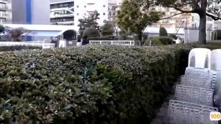 夫の部下を挑発するド淫乱奥さん！ 藤木紗英
